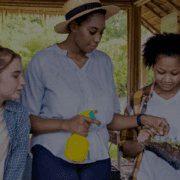 Naturally Natural Fund